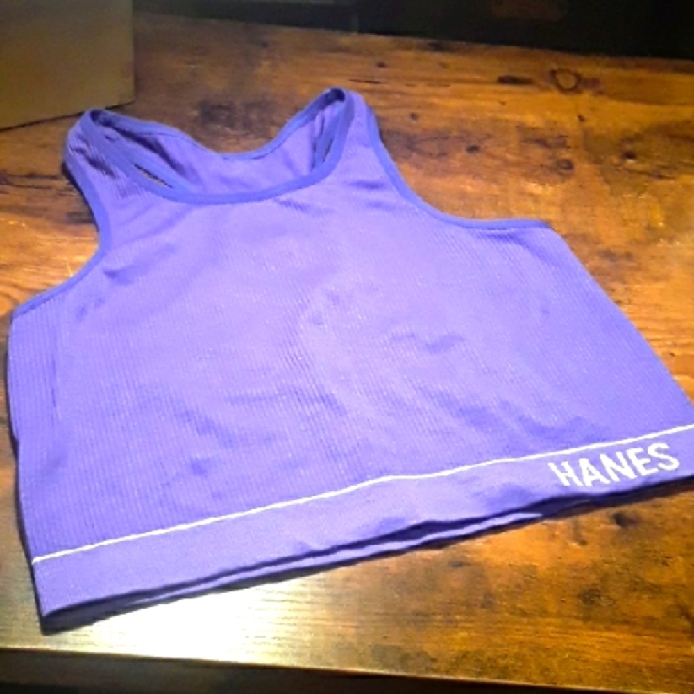 NWOT Large Hanes Purple Unpadded Sports Bra